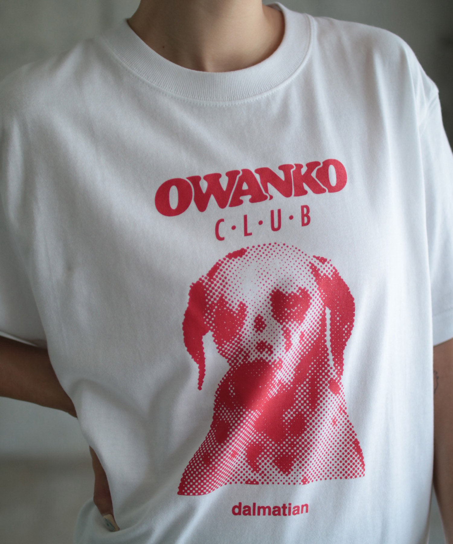 OWNK CLUB / DALMATIAN