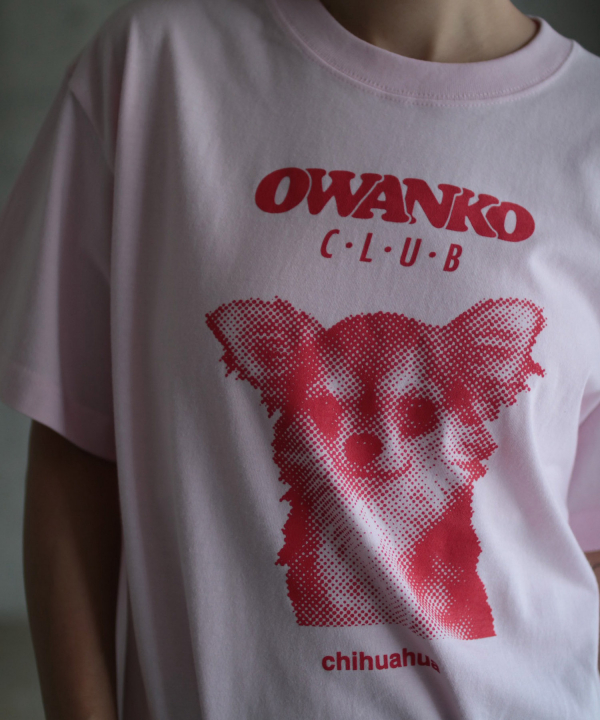 OWNK CLUB / CHIHUAHUAS k3