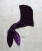 VELVET HOOD