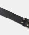 DOUBLE EYELET LEATHER BELT